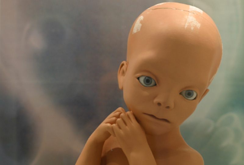 New American Cinema: "2001: A Space Odyssey," Stanley Kubrick