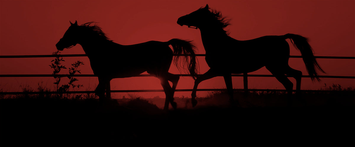 Great Writers: Cormac McCarthy, Blood Meridian