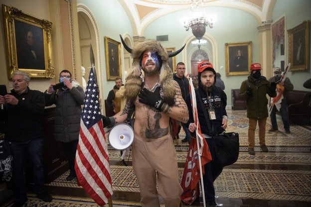Civics: January 6, 2021: Riot, Visit, Demonstration, or Insurrection?