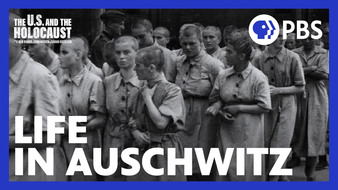 MODERN POLITICS:  Ken Burns, "The U.S. and the Holocaust," 3 parts, 6 hours of tape.