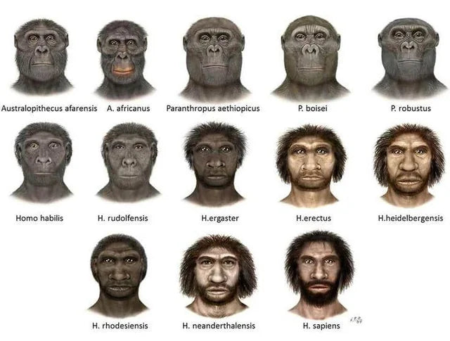 Book Study: The Ascent of Man, Jacob Bronowski